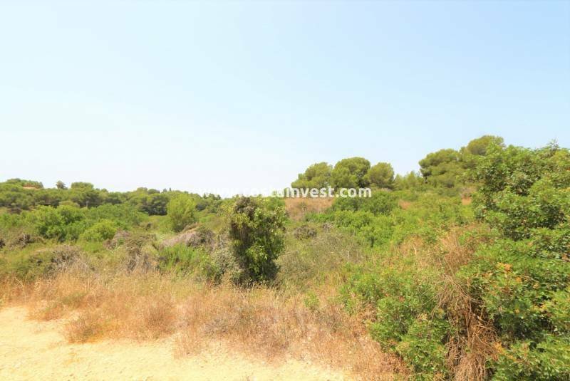 Land in Orihuela, Valencian Community, Spain 2 - 11539650