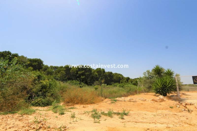 Land in Orihuela, Valencian Community, Spain 1 - 11539650
