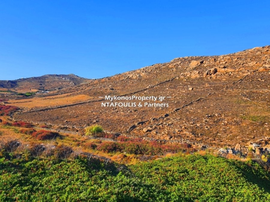 Mykonos, Aegean, Greece 3 - 11553381