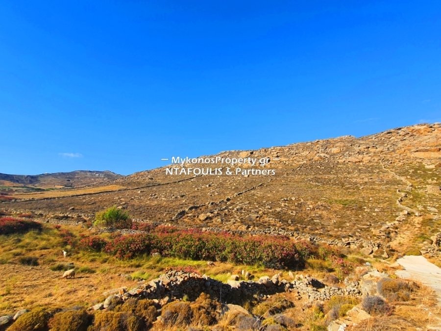 Mykonos, Aegean, Greece 5 - 11553381
