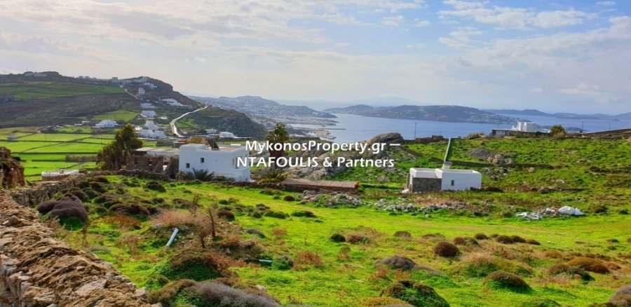 Mykonos, Aegean, Greece 2 - 11553412