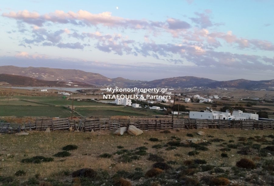 Mykonos, Aegean, Greece 5 - 11553481