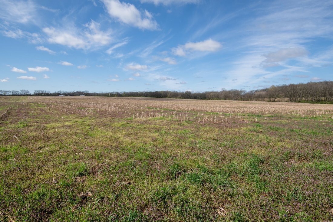 Farm Ranch in Mount Pleasant, Tennessee, United States 5 - 11567203