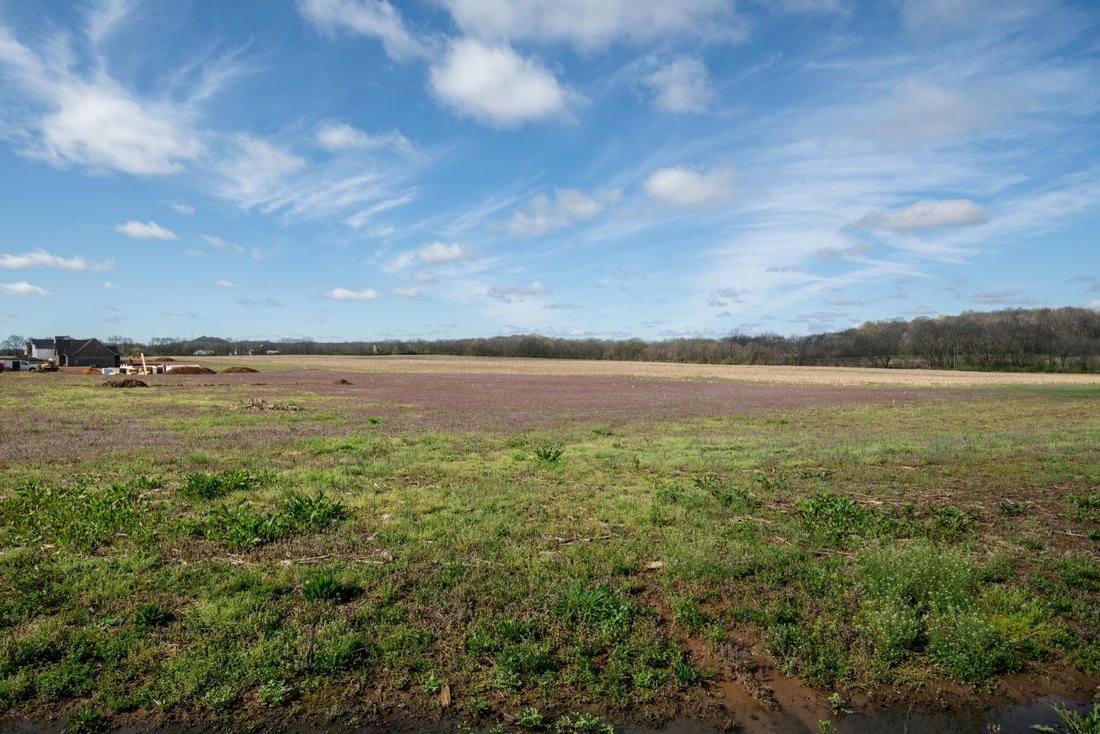 Farm Ranch in Mount Pleasant, Tennessee, United States 3 - 11567203