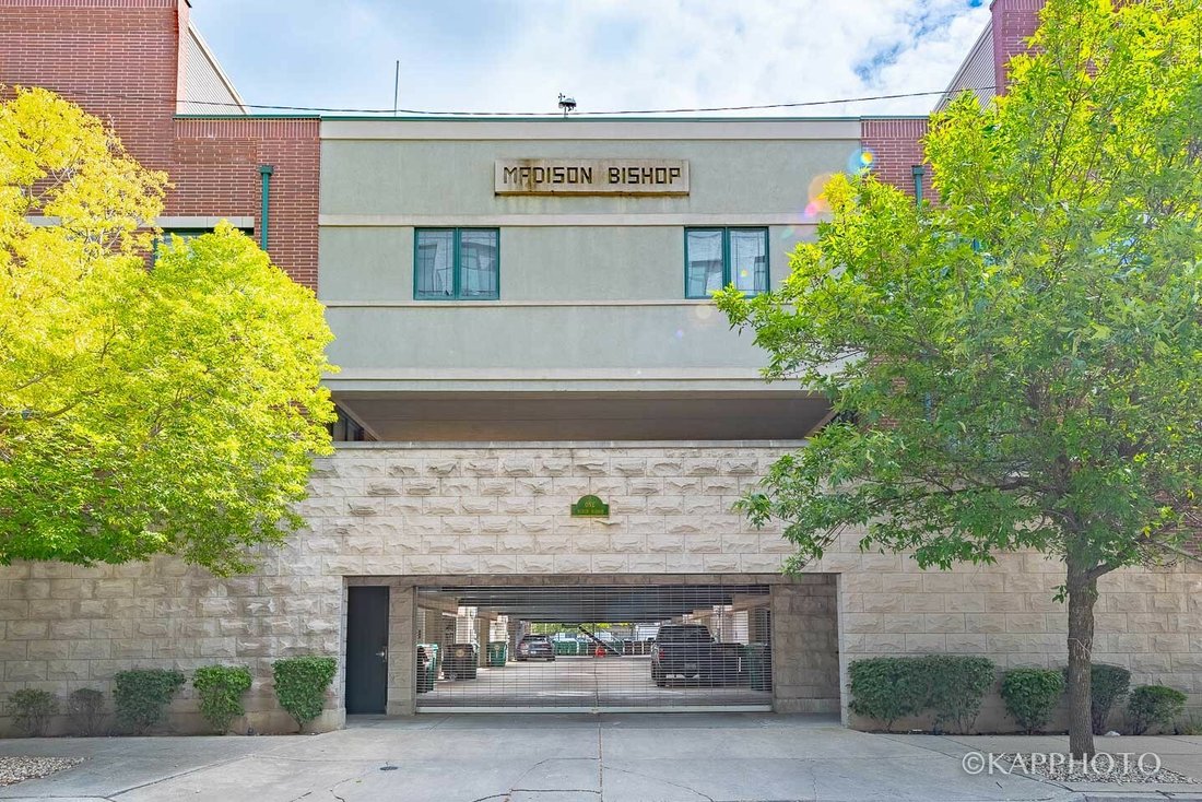 House in Chicago, Illinois, United States 1 - 11545487