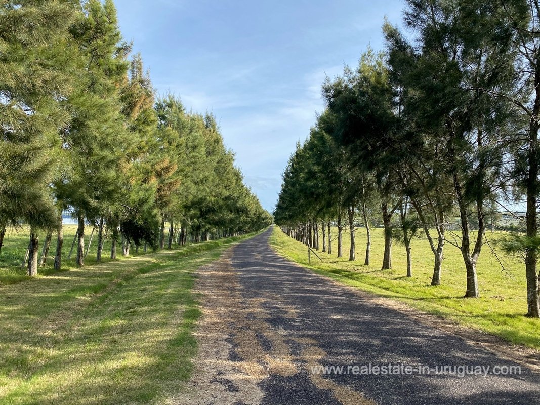 Estate in Punta Ballena, Maldonado Department, Uruguay 1 - 11596491