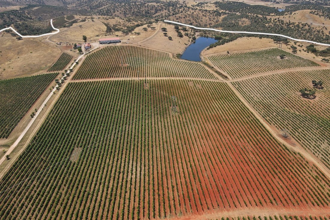 Country Estate For Sale In Moura, Beja District, Portugal For Sale