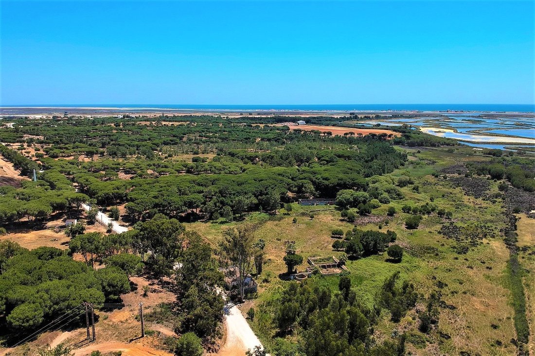 Land in Faro (Se und Sao Pedro), Algarve, Portugal 4 - 10926595