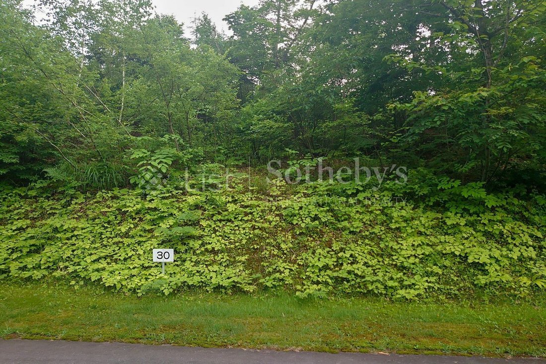 Land in Tone-gun, Tone District, Japan 2 - 11523443