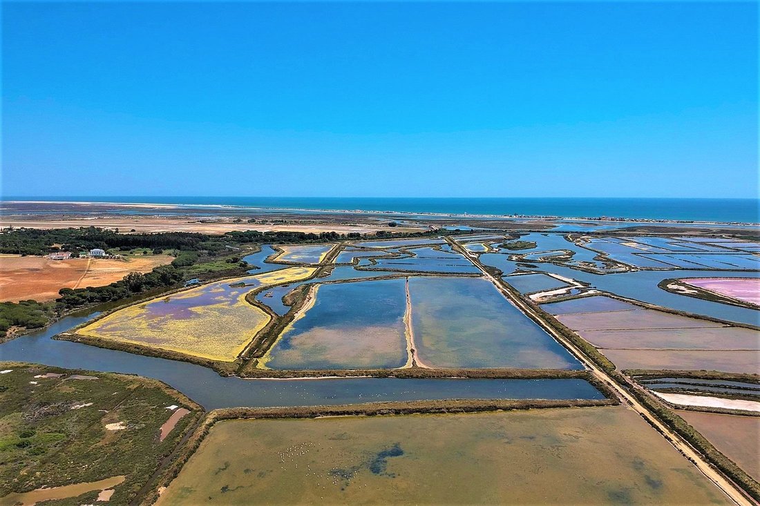 Land in Faro (Se und Sao Pedro), Algarve, Portugal 5 - 10926595