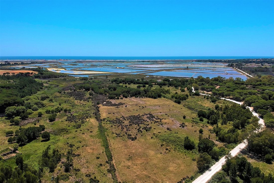 Land in Faro (Se und Sao Pedro), Algarve, Portugal 2 - 10926595