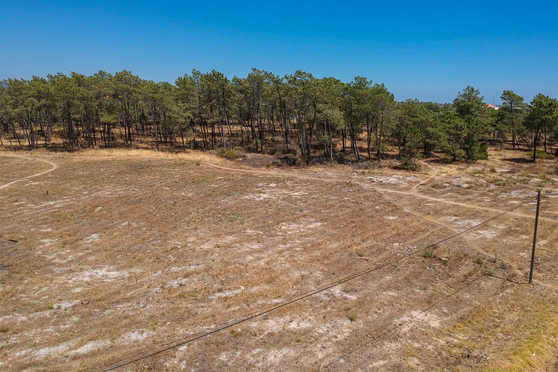 Land in Montenegro, Algarve, Portugal 2 - 11081053