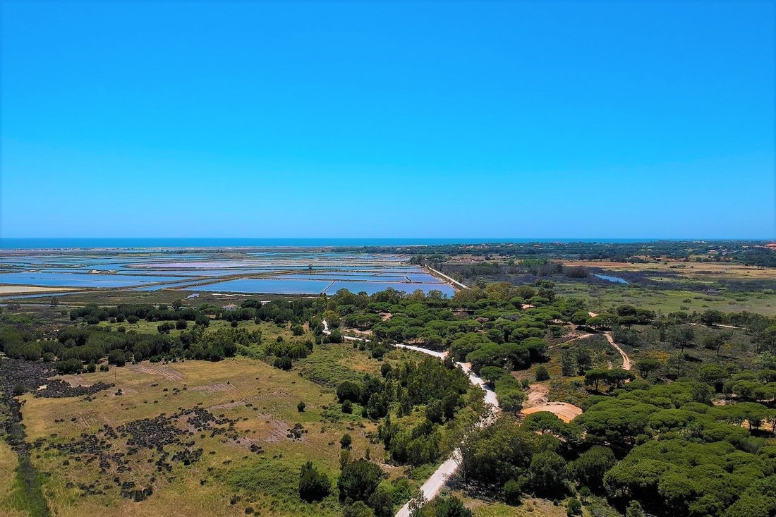 Land in Faro (Se und Sao Pedro), Algarve, Portugal 3 - 10926595