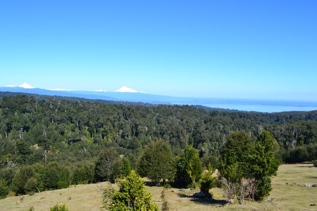 Farm Ranch in Ignao, Los Ríos, Chile 5 - 11598079