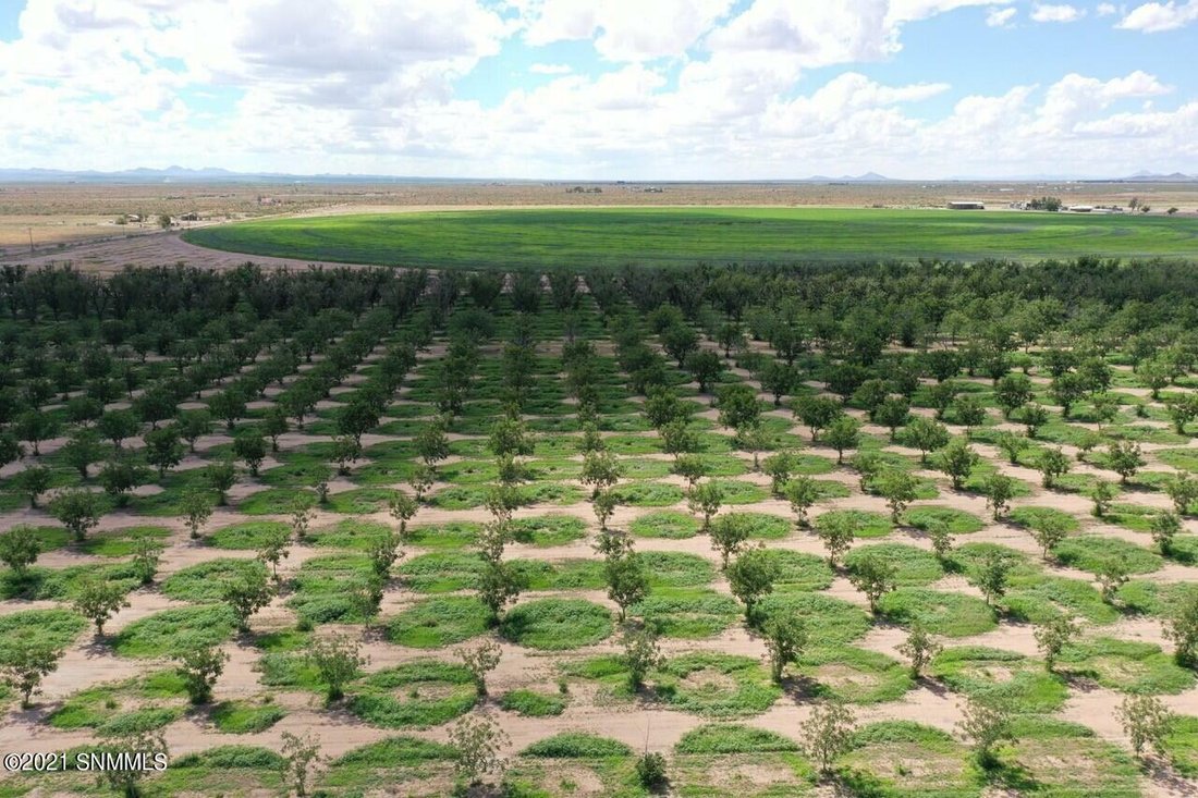 Farm Ranch in Deming, New Mexico, United States 5 - 11472924