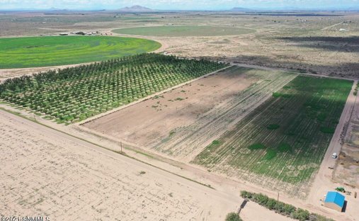 Farm Ranch in Deming, New Mexico, United States 1
