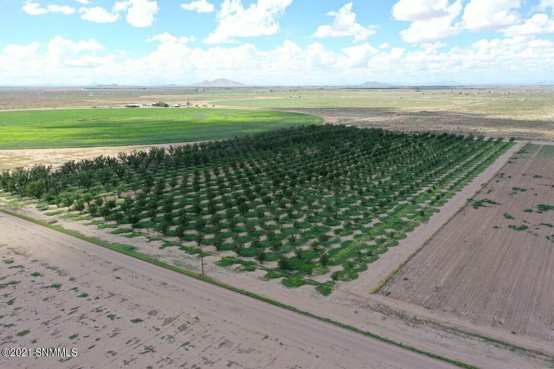 Farm Ranch in Deming, New Mexico, United States 3 - 11472924