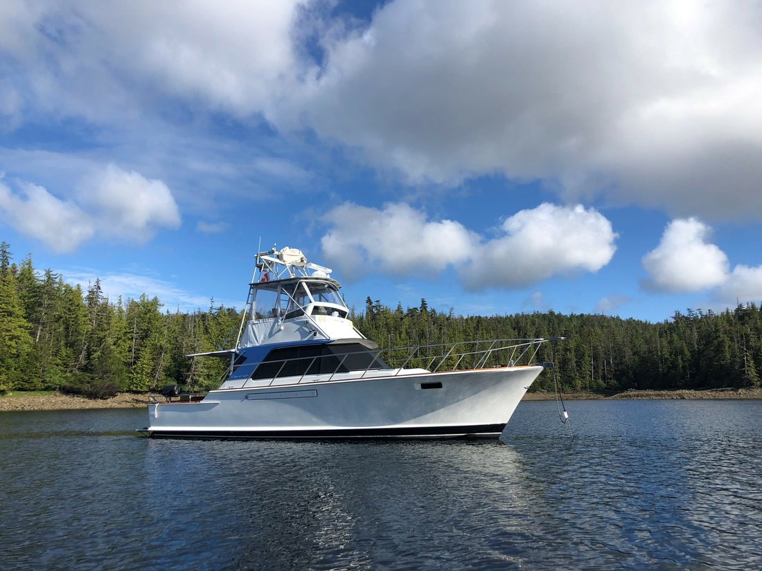Sport Fisherman in Seattle, Washington, United States 2 - 11633780