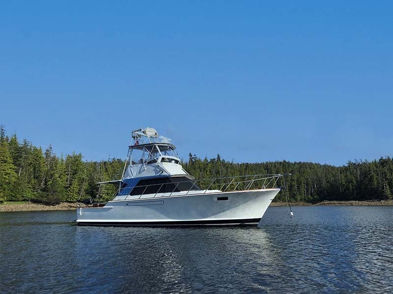 Sport Fisherman in Seattle, Washington, United States 1 - 11633780