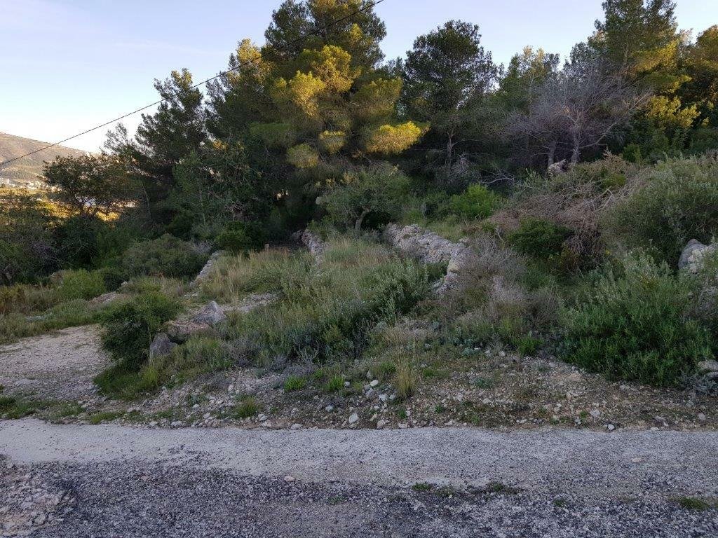 Apartment in Teulada, Valencian Community, Spain 4 - 11656859