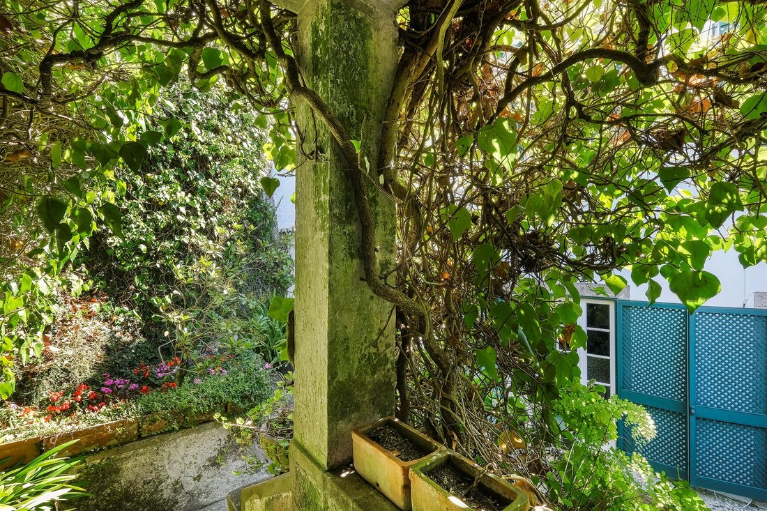 House in Sintra, Lisbon, Portugal 5 - 11660880