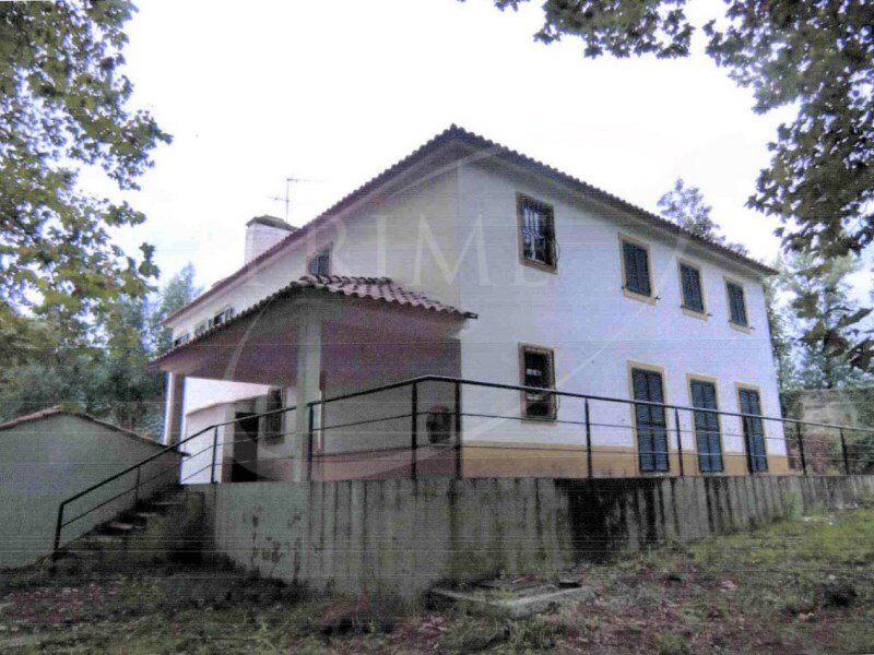 Magnificent Farm With 6.8 Ha. Located In Estarreja, Aveiro District