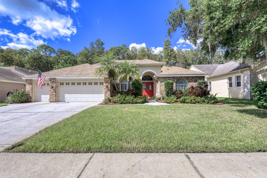 House in Palm Harbor, Florida, United States 1 - 11664013