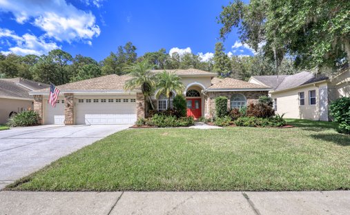 House in Palm Harbor, Florida, United States 1