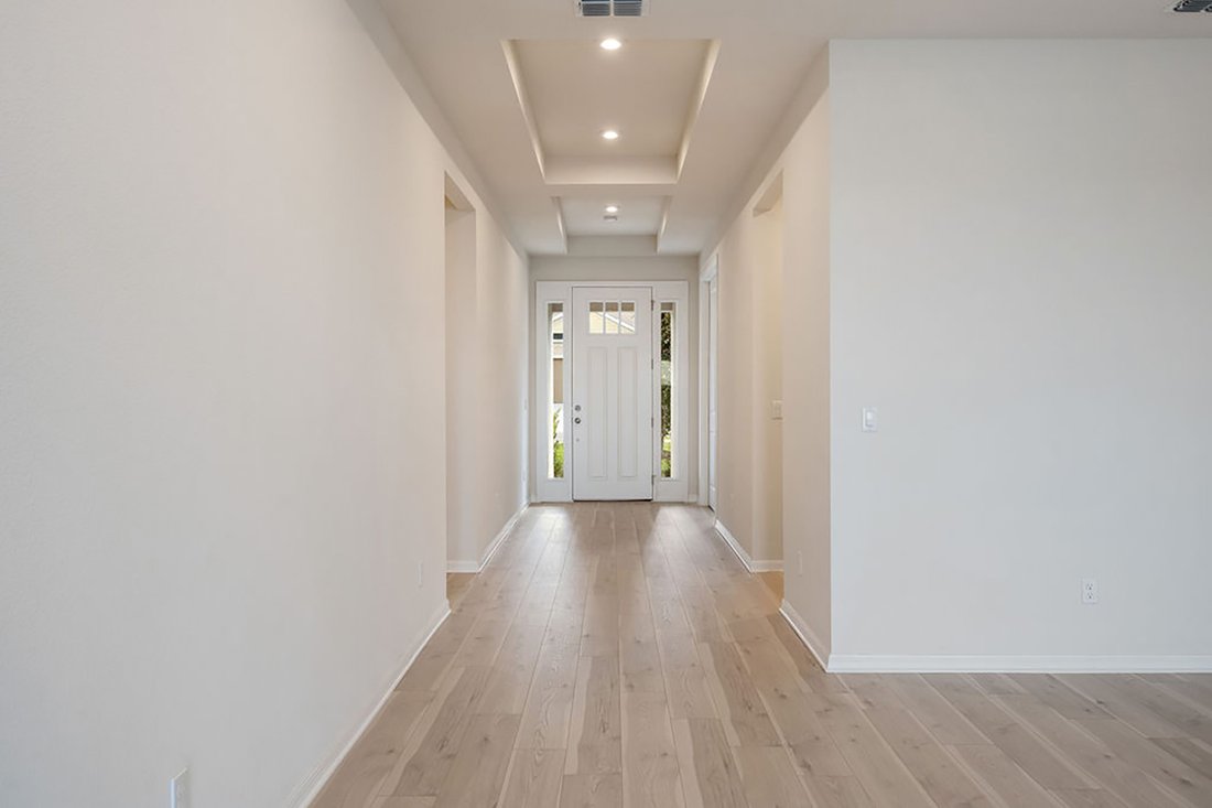 House in Apopka, Florida, United States 4 - 11669639