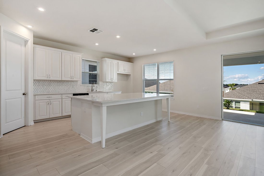 House in Apopka, Florida, United States 5 - 11669639