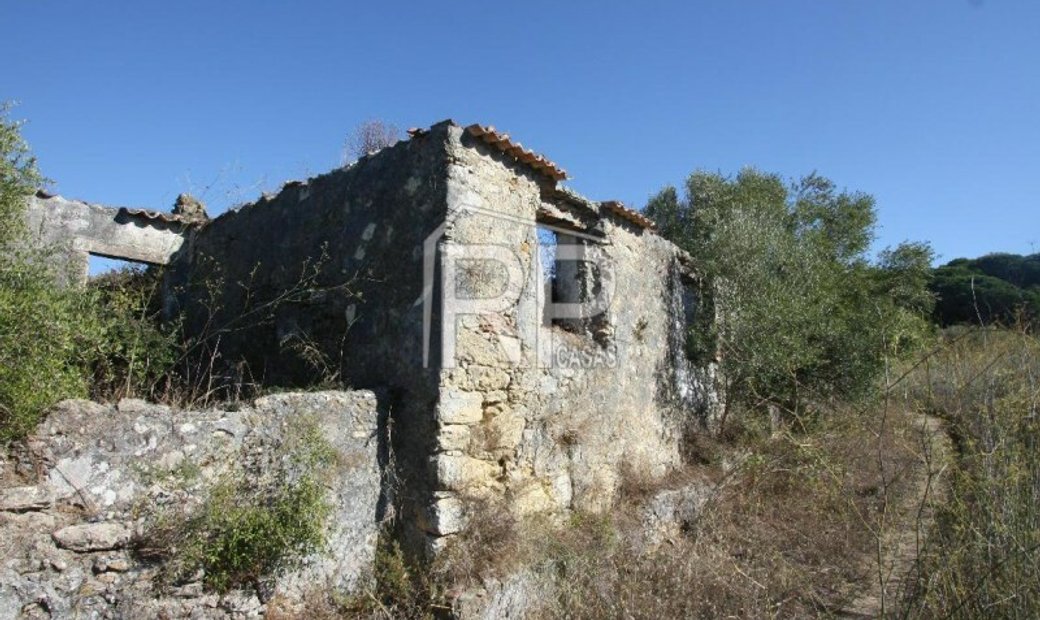 Homeland With Ruin In The Natural Park Of In Quinta Do Anjo, Setubal, Portugal For Sale (11681239)