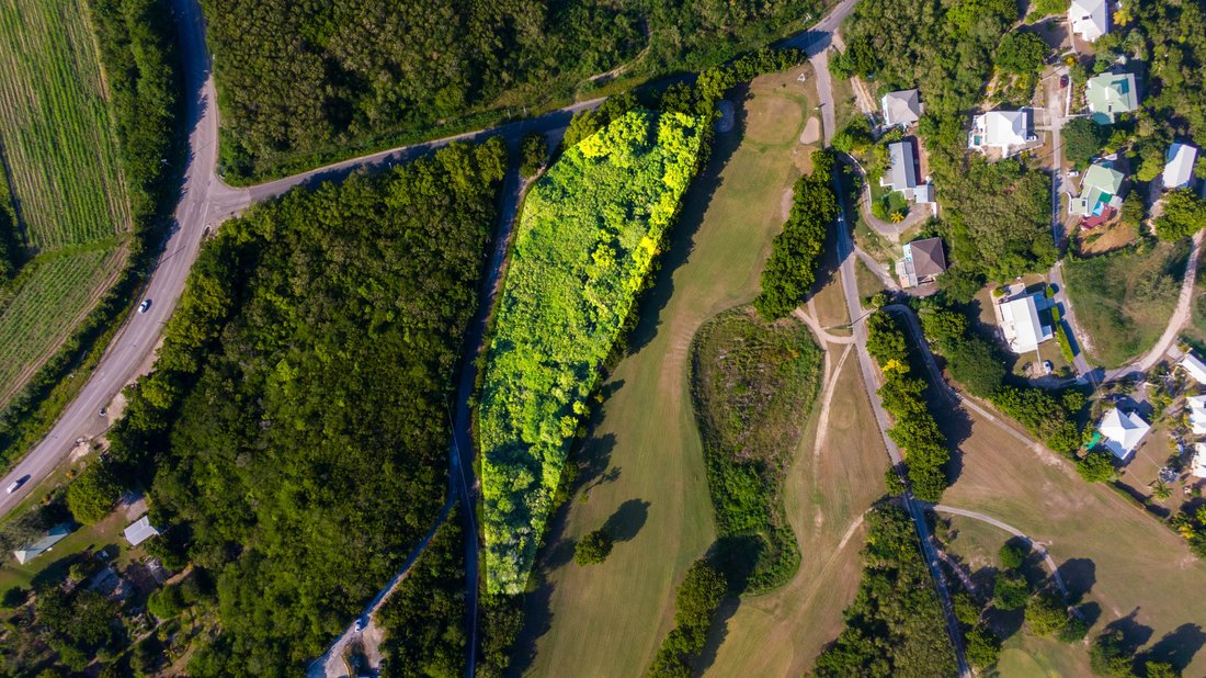 Land in Cedar Grove, Saint John, Antigua and Barbuda 3 - 11682461