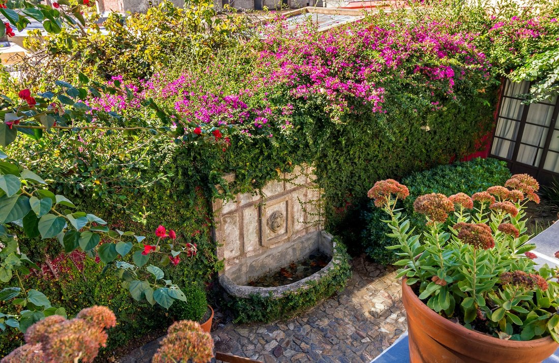 Mi Santa A Bow To The In Colonia Del Sacramento, Colonia Department