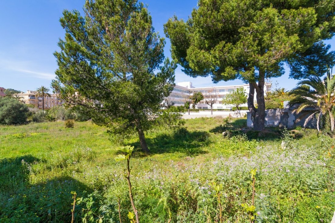 Altro a Capdepera, Isole Baleari, Spagna 3 - 11233206