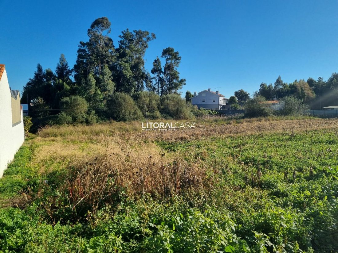 Land in Gloria e Vera Cruz, Aveiro District, Portugal 4 - 11706312