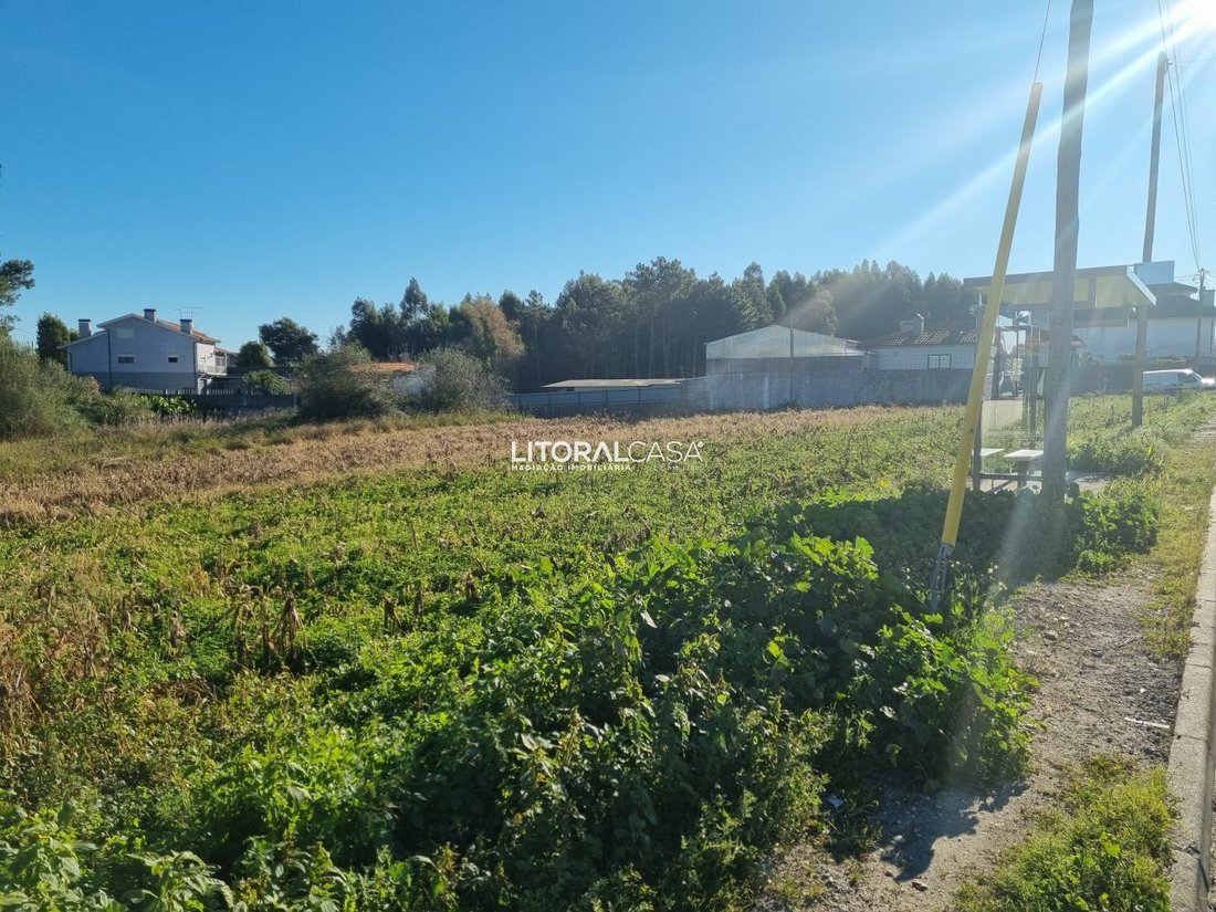 Land in Gloria e Vera Cruz, Aveiro District, Portugal 5 - 11706312