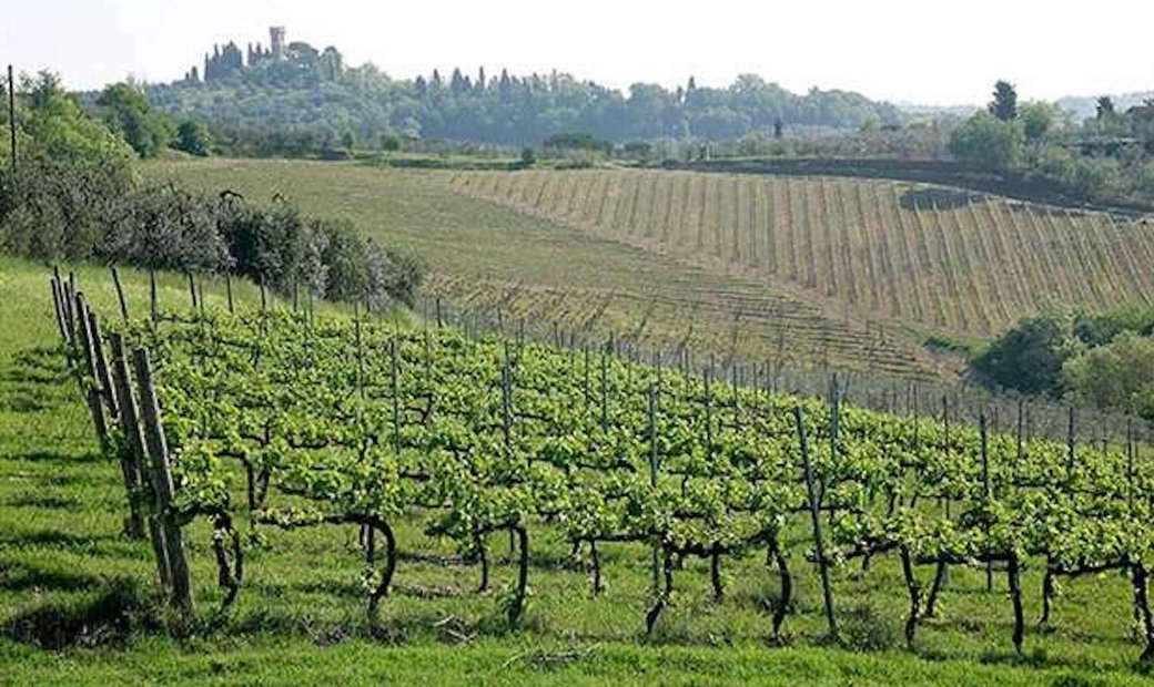 Italy, Winery In Chianti For Sale Of 300 Hectares In Montalbino, Tuscany, Italy For Sale (11711351)