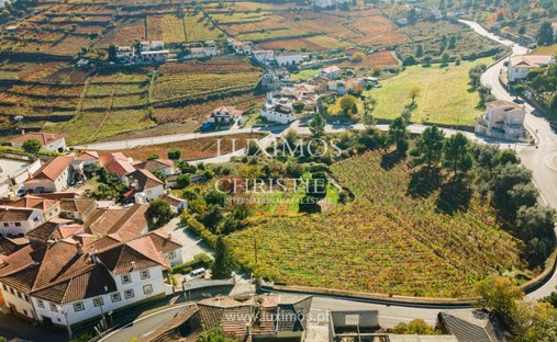 Farm Ranch in Lobrigos (Sao Miguel e Sao Joao Baptista) e Sanhoane, Vila Real, Portugal 1