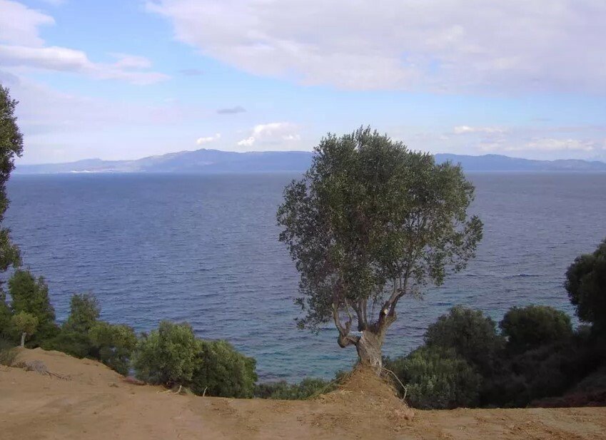 Land in Pallini Municipal Unit, Macedonia and Thrace, Greece 2 - 11713952
