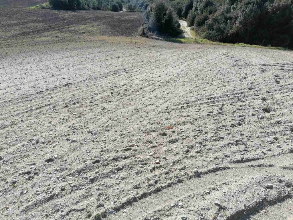 Land in Pallini Municipal Unit, Macedonia and Thrace, Griechenland 2 - 11714035
