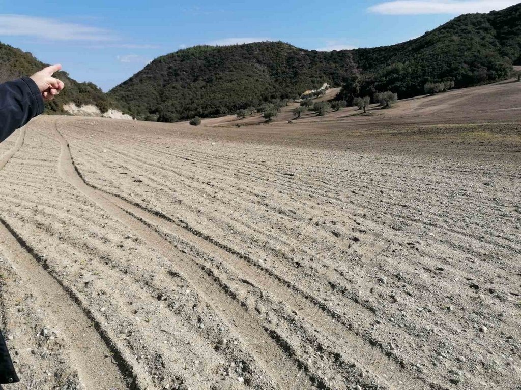 Land in Pallini Municipal Unit, Macedonia and Thrace, Griechenland 1 - 11714035