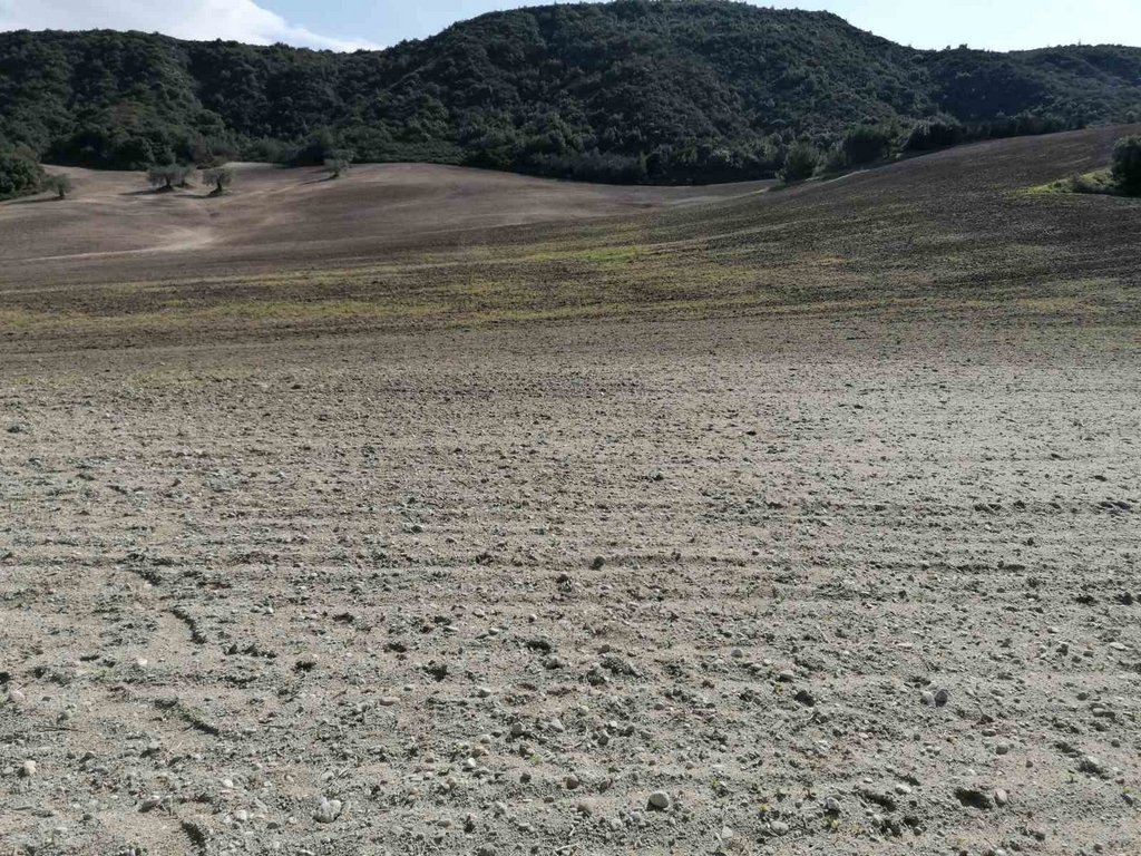 Land in Pallini Municipal Unit, Macedonia and Thrace, Griechenland 4 - 11714035