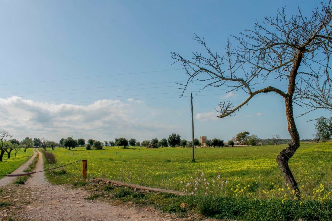 Palma De Mallorca Country House In Sa Casa Blanca, Balearic Islands