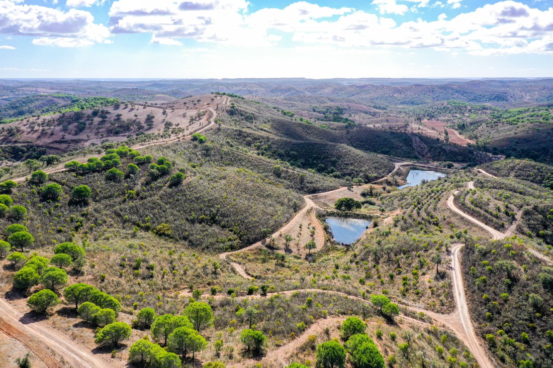 Land in Bensafrim e Barao de Sao Joao, Algarve, Portugal 4 - 11717316