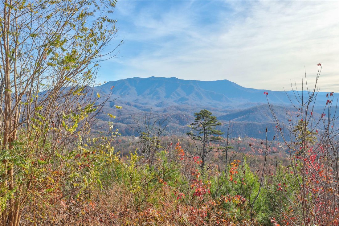 Land Single Family Acreage In Gatlinburg, Tennessee, United States For