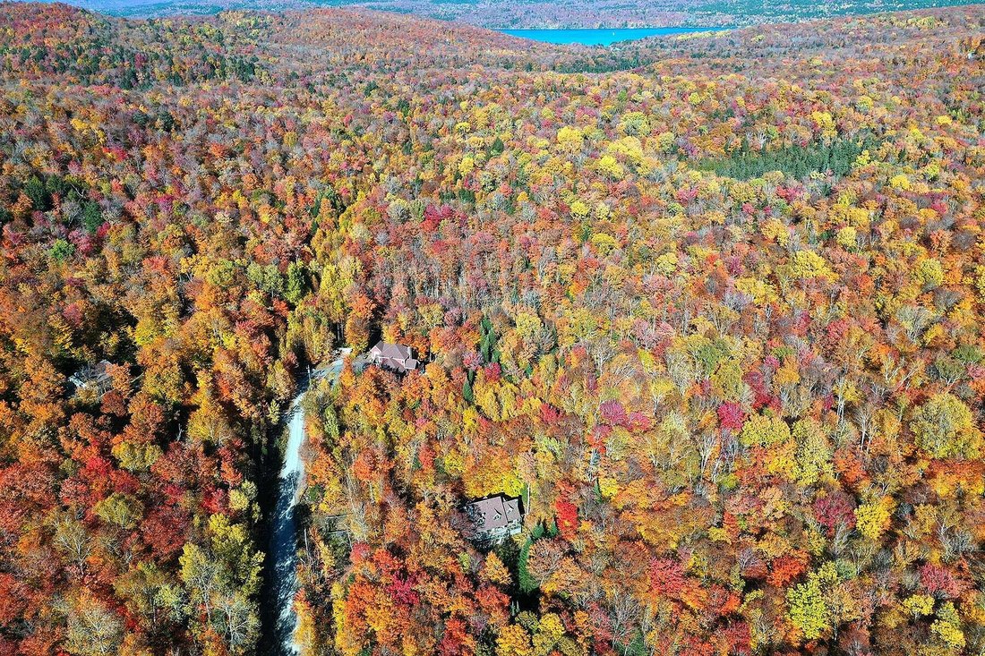 Land in Mont-Tremblant, Quebec, Canada 1 - 11726477