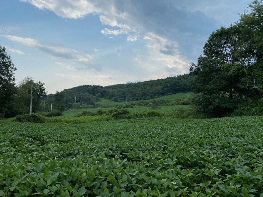 Farm Ranch in Pine Plains, New York, United States 1 - 11723974