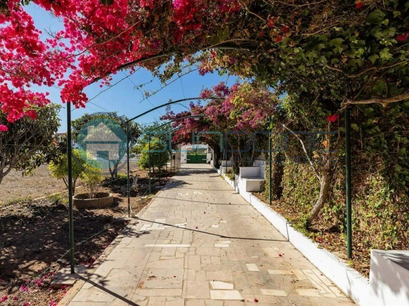 Property With 2 Houses And Annexes In Total With 9 In Sagres, Algarve