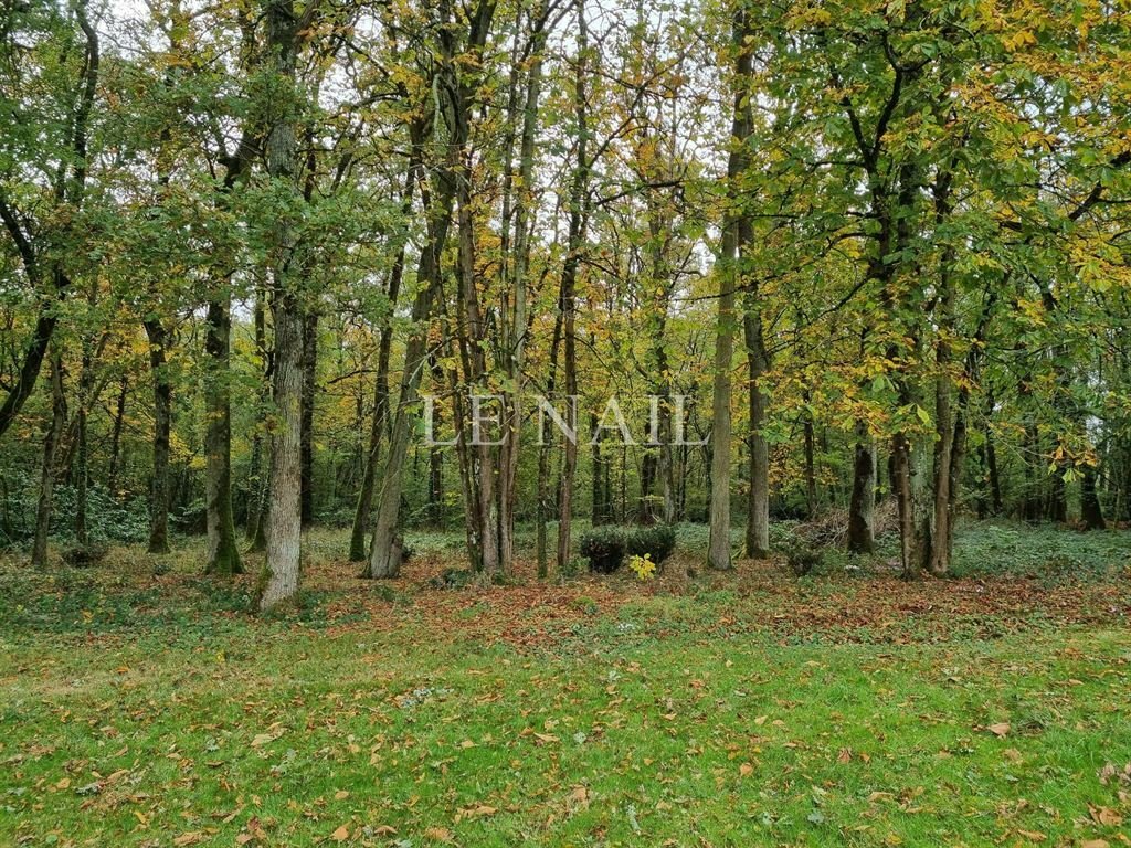 Beautiful Chateau For Sale At The In Vierzon, Centre Val De Loire