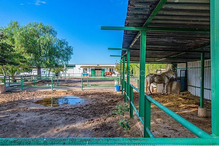Villa in Sagunt / Sagunto, Valencian Community, Spain 1 - 11204211